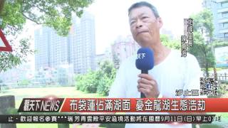 10500901觀天下新聞HD03 布袋蓮佔滿湖面 憂金龍湖生態浩劫