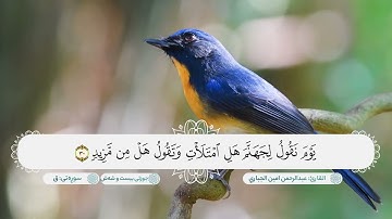 سورة ق ترتيل هادئ بصوت القارئ عبدالرحمن امين الجباري