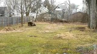 218 N Rutland Street video tour