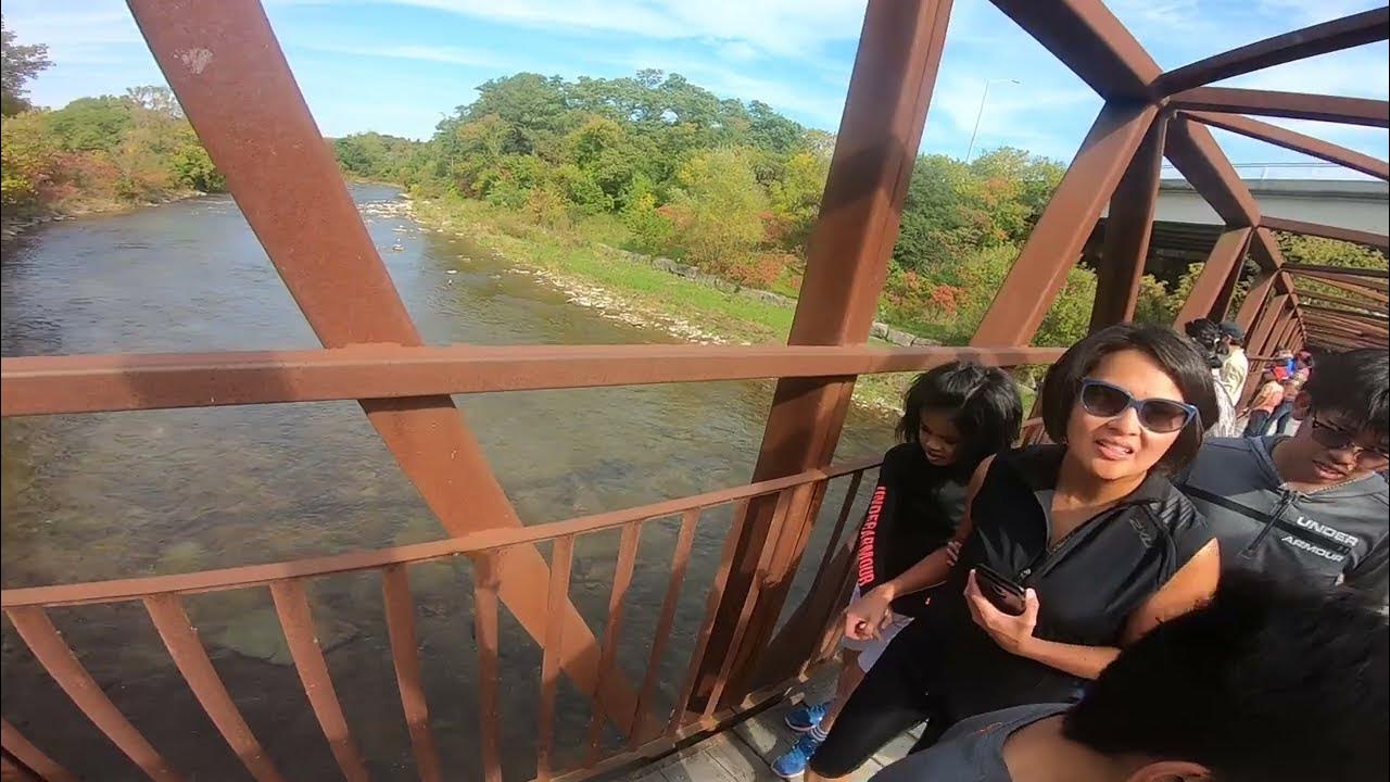 Salmon Run Etobicoke Creek 2021 12 YouTube
