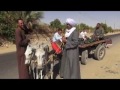 الحج الضوى بعد غلاء البنزين يغلي اجره الحمير الحج الضوى بعد غلاء البنزين يغلي اجره الحمير