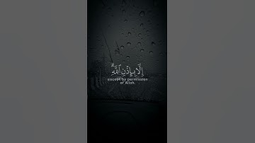 ما اصاب من مصيبة الا بإذن الله || القارئ رعد الكردي سورة (التغابن) اية 11