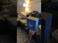 DIY Huggy Wuggy Halloween Mask from Amazon Bag Poppy Playtime
