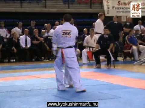 2010 Shinkyokushin EC Logrono: Gabor Rozsa - Asqar Ghanbari, men 70 kg