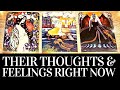  their  exact thoughts  feelings about you right now  pick a card timeless love tarot reading