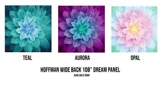 Hoffman 'Dream Big' Panel