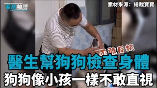 狗狗受傷，醫生到家檢查身體，狗狗像小孩一樣害怕醫生，全程不敢對視：檢查完就快走吧！