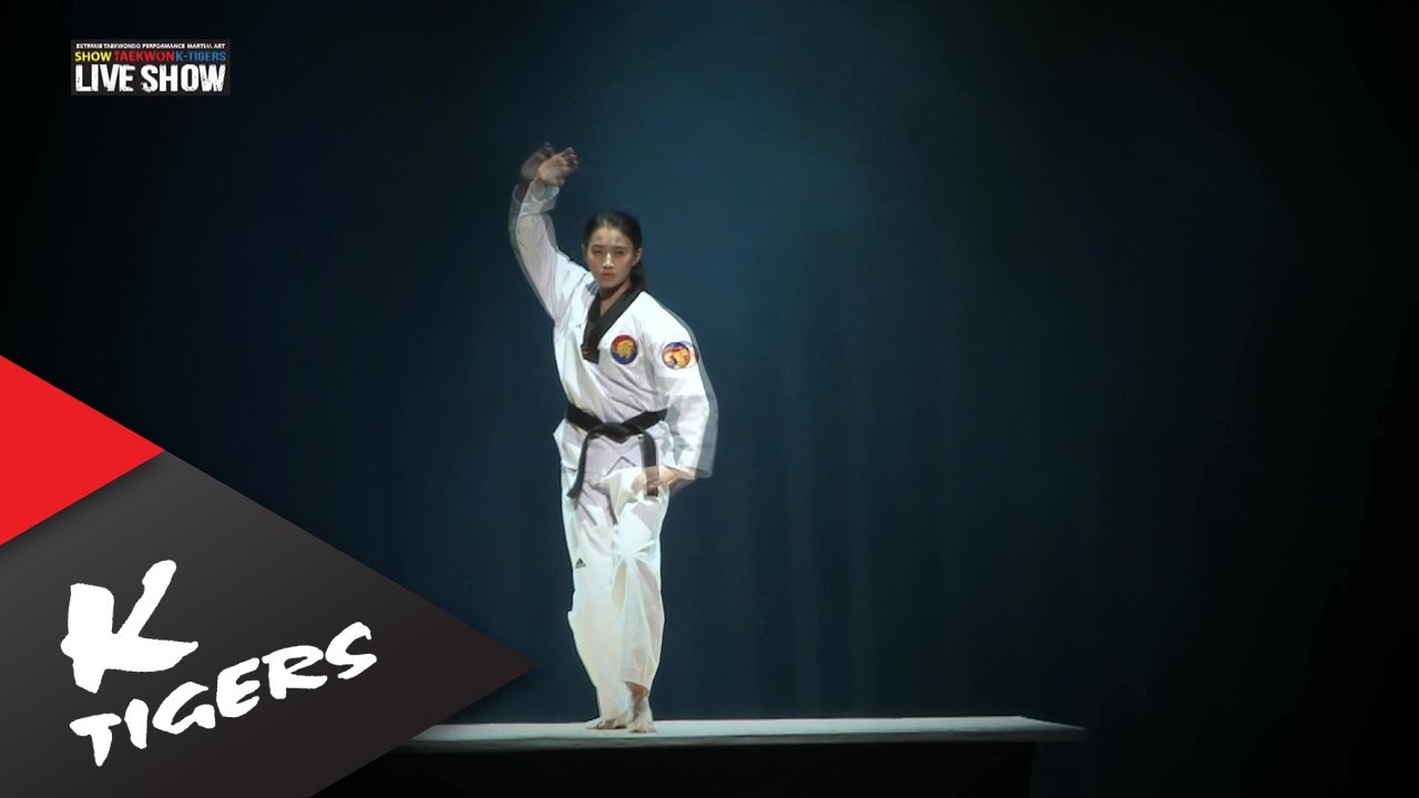 KTigers Live show 2013 in Sejong Highlight YouTube