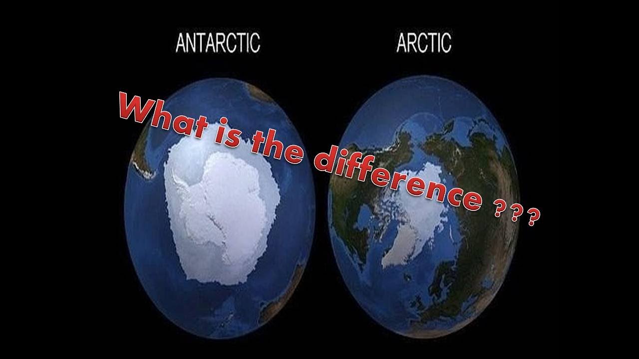 What is the difference between Antarctica and the Arctic YouTube