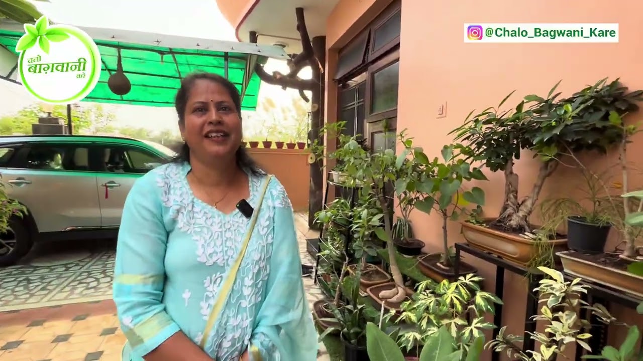 🌿 एक साधारण घर, एक असाधारण गार्डन Know how to do Budget Gardening Kota Series EP-11