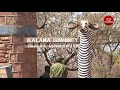 Pastoralist women in Samburu help conserve their environment by donating their beadwork earnings