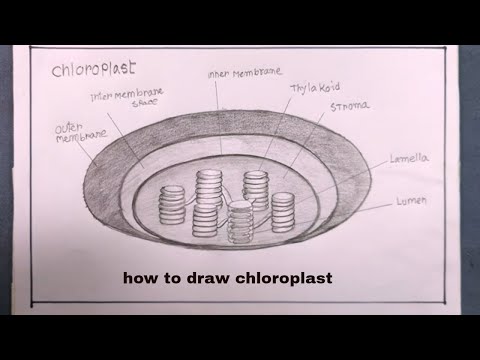 how to draw