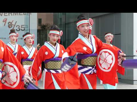 濱長　花神楽／フジテレビ会場／第17回 ドリーム夜さ来い祭り2018（初日）