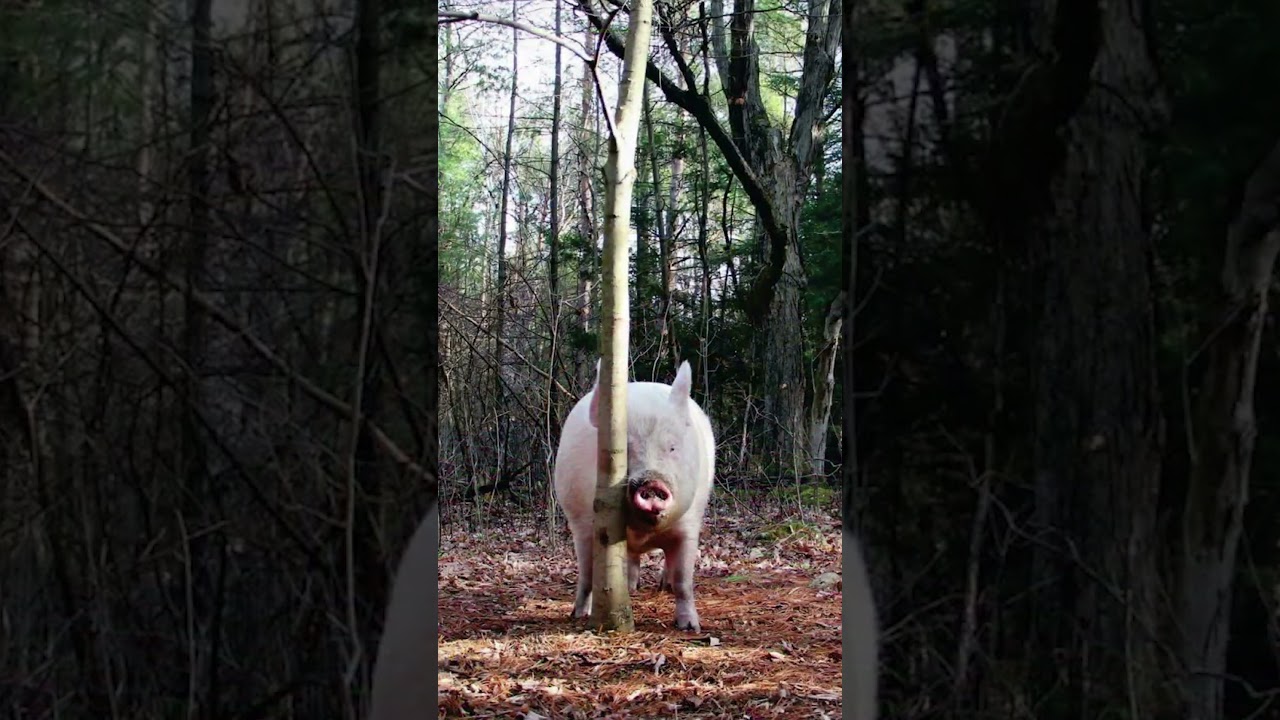 👀Самый глазастый совет👀 