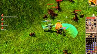 Metin2.US Reri Using Bugs