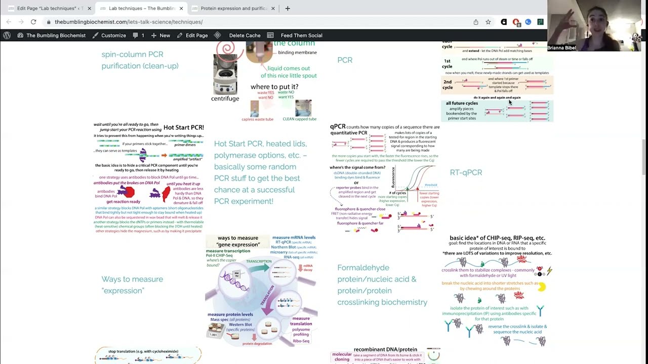 Biochemistry and molecular biology techniques an overview YouTube