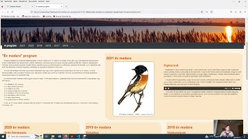 Év madara feladatsor - 2022 május - informatikai ismeretek, webszerkesztés /HTML,CSS, JavaScript/