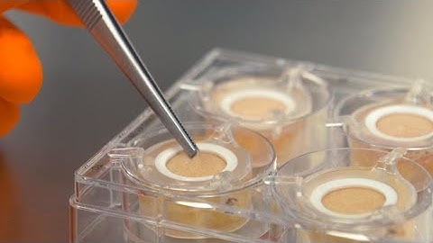 Recycling human skin: An alternative to animal testing?