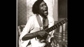Brewer Phillips ~ ''Lunch Bucket Blues''(Modern Electric Blues 1996)