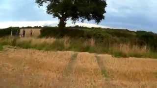 mini h quad fpv, trees and bales