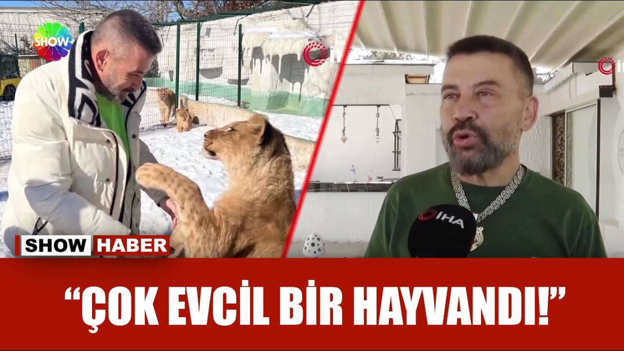 Öldürülen aslanın sahibi ortaya çıktı