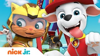 PAW Patrol & Cat Pack Rescue Baby Animals! w/ Marshall & Leo | Nick Jr.