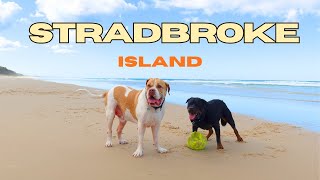The WORLDS Second LARGEST Sand Island / Travelling With Dogs