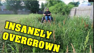 INSANELY OVERGROWN YARD CLEAN UP ( FREE )