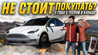 :   100000   Tesla Model Y   |    |  !