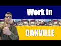 Live & Work in Oakville, Ontario
