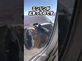エンジンがすべて止まっても生還したジェット機 #ゆっくり解説 #ジャカルタ事件#ブリティッシュ・エアウェイズ009便#火山灰