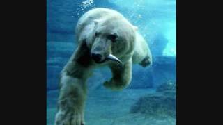 Oomph Eisbär
