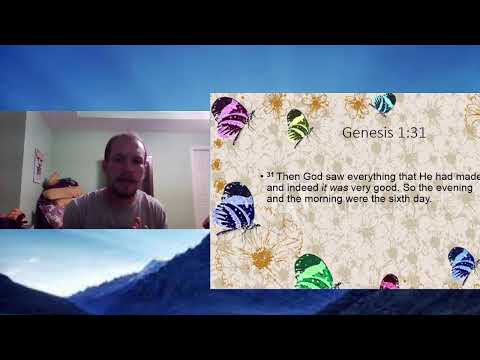 Video preview