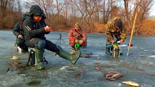 картинка: ЭТОТ ЗАЛИВ КИШИТ КРУПНЫМ КАРАСЕМ.Зимняя рыбалка на карася