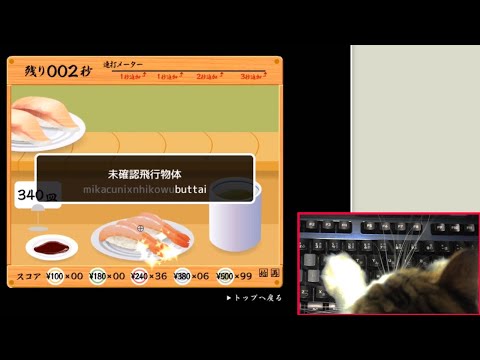 猫に寿司打をやらせてみた(チートより速いタイピングの女王/世界一/早打ち/ブラインドタッチ/キーボード)-Typing cat funny cat video