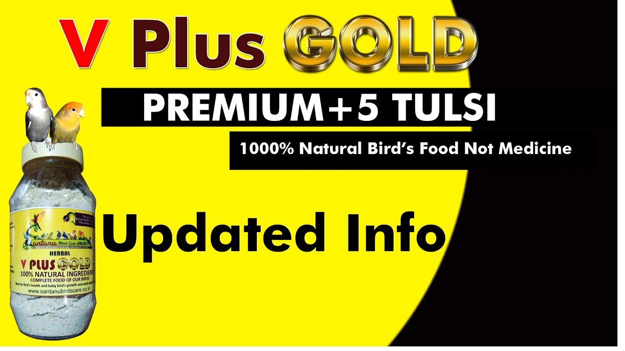 Some Updates On V Plus Gold Premium 1000 Bird s Natural Health some-updates-on-v-plus-gold-premium-1000-bird-s-natural-health