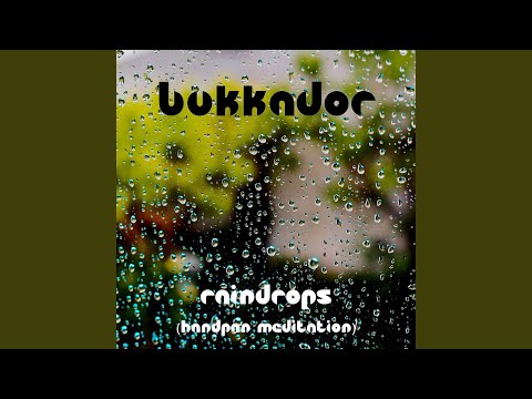Raindrops Handpan Meditation