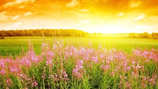 Nokia Ringtones - 15: Call Waiting (AI-Extended)