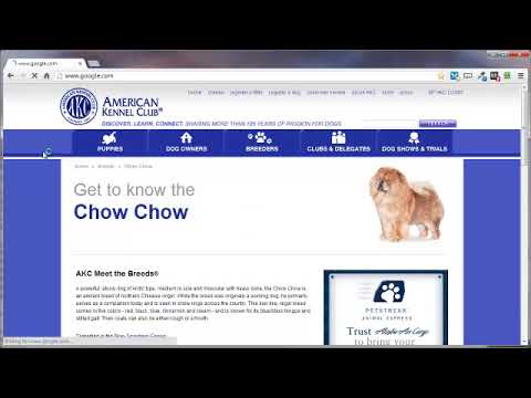 vid10-HTML Comments Tag
