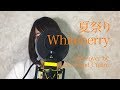 Whiteberry『夏祭り』Full cover by Lefty Hand Cream