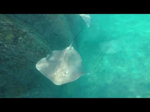 2018   MALDIVE