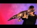 Amerikanischer Alligator - Folkmanis Video