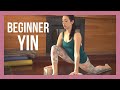 Yin Yoga for Beginners - Full Body Stretch Yoga