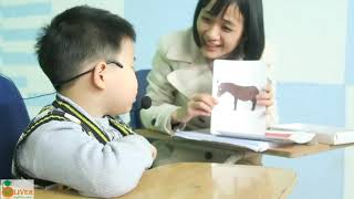 3Ff1 Test 2 Khiêm Test First Friends 1