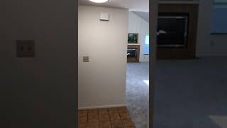 IMG 7408