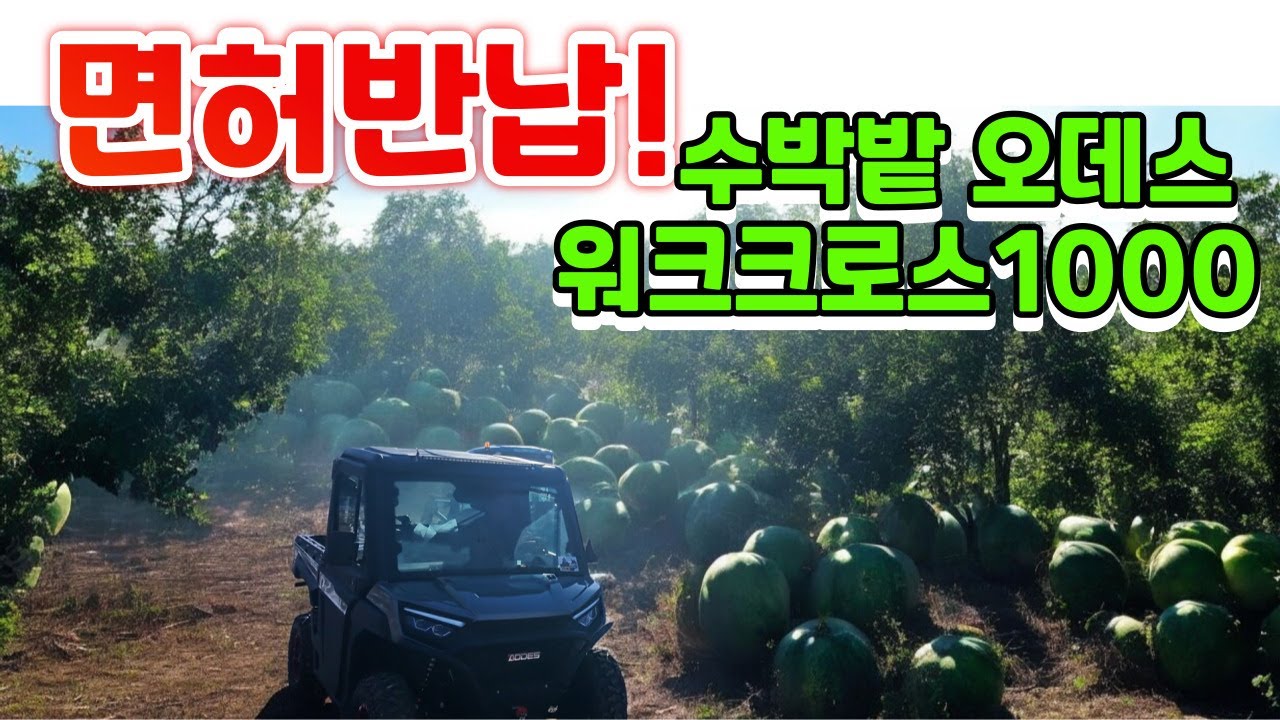 오데스워크크로스1000 에어컨히터되는UTV 배송브이로그! #사륜오토바이 #사발이 #사륜바이크 #팜트럭