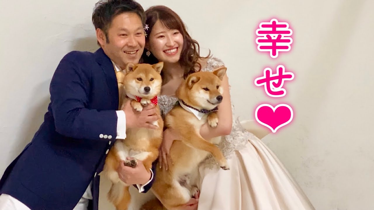 とび森 村メロ 星に願いを ディズニーのyoutube動画統計 Noxinfluencer