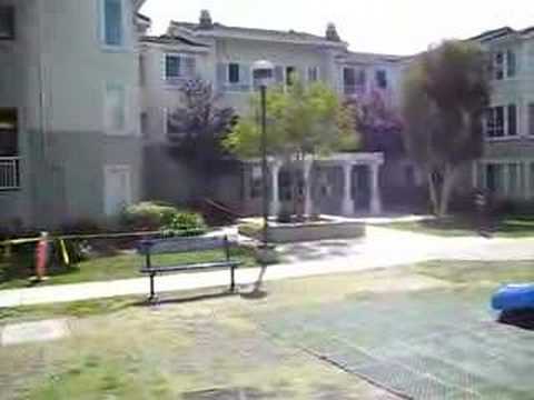 Ucla Married Student Housing You