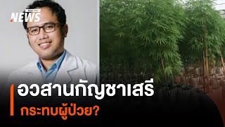 อวสานกัญชาเสรี กระทบผู้ป่วย?| Thai PBS News