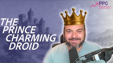 Prince Charming Database Reactivation Campaigns with PPC Better - AI Powered SMS DBR